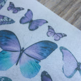 Edible Variety Realistic Butterflies