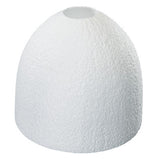 Foam Cake Forms