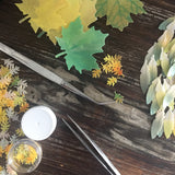 Edible Leaves and Feathers for Autumn