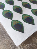 1.5" Edible Peacock Feathers on Wafer Paper 1.5 Inch