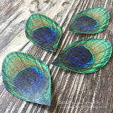 Edible Peacock Feathers on Wafer Paper 1.5 Inch - Never Forgotten Designs