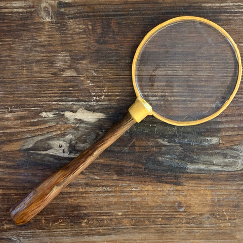 Giant Magnifying Glass Lollipop