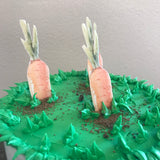 Water Color Peter Rabbit Carrot Cake & Cupcake Toppers