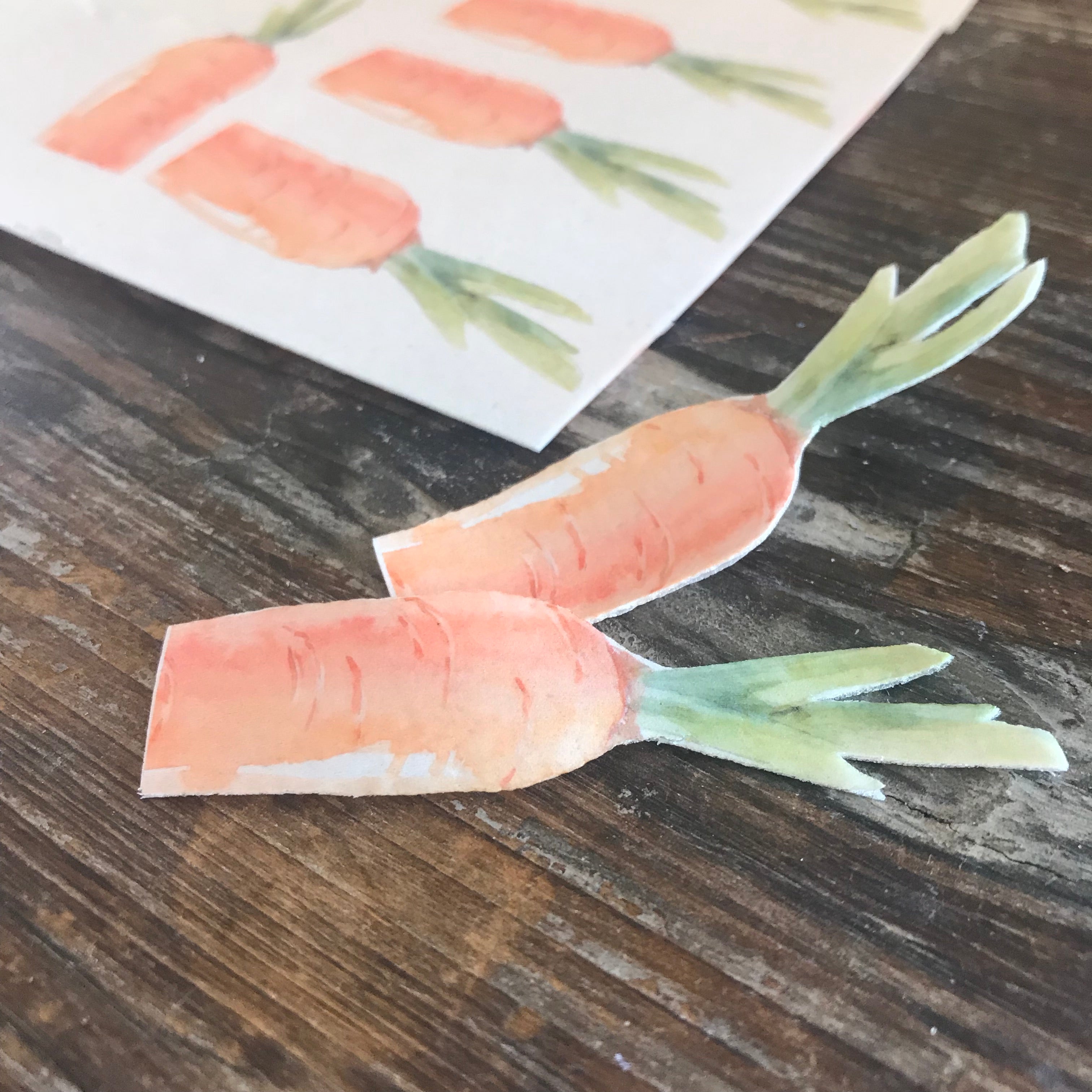 Water Color Peter Rabbit Carrot Cake & Cupcake Toppers